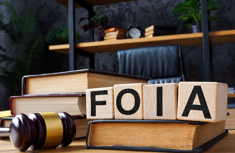 FOIA on wooden blocks and judge's gavel